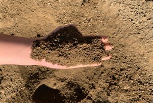 Screened Topsoil material reference