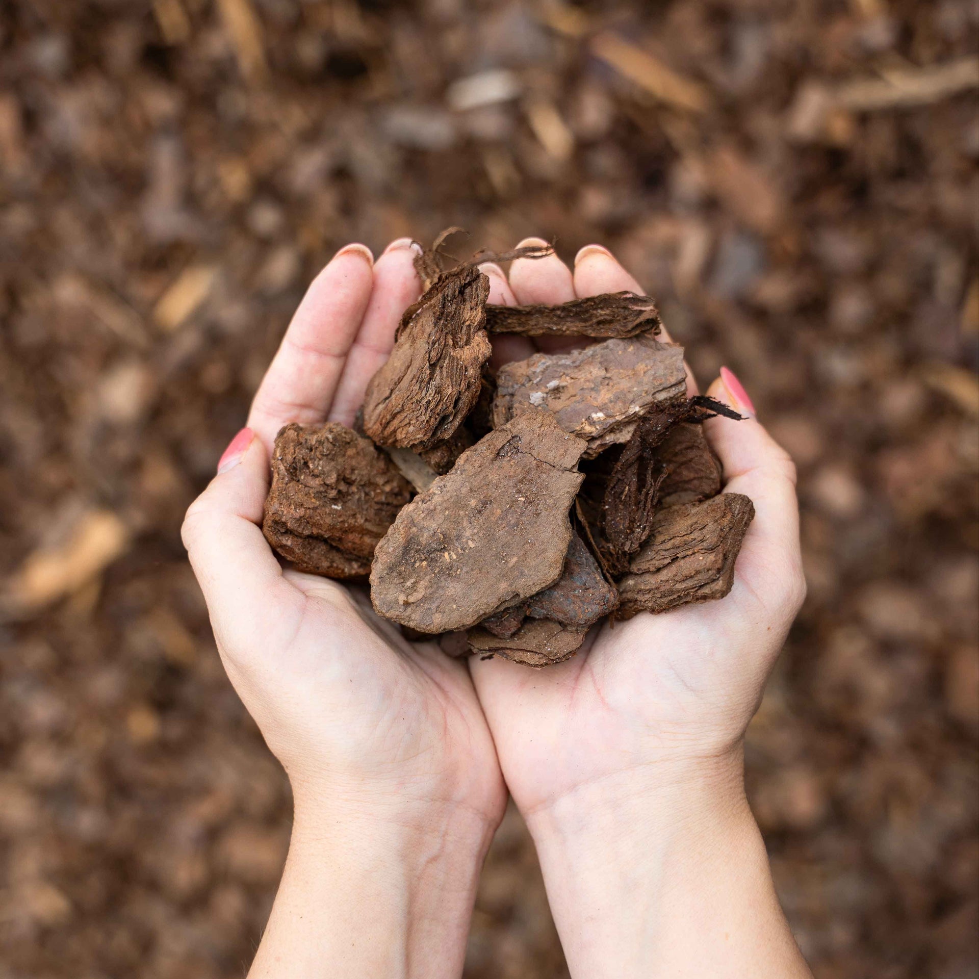 Pine Bark Mulch material reference