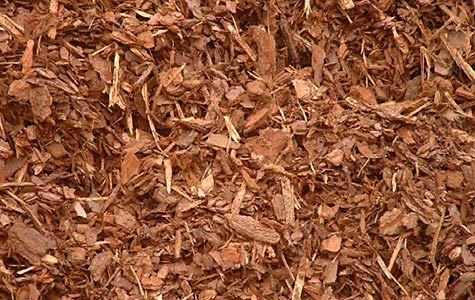 Pine Bark Mulch material reference
