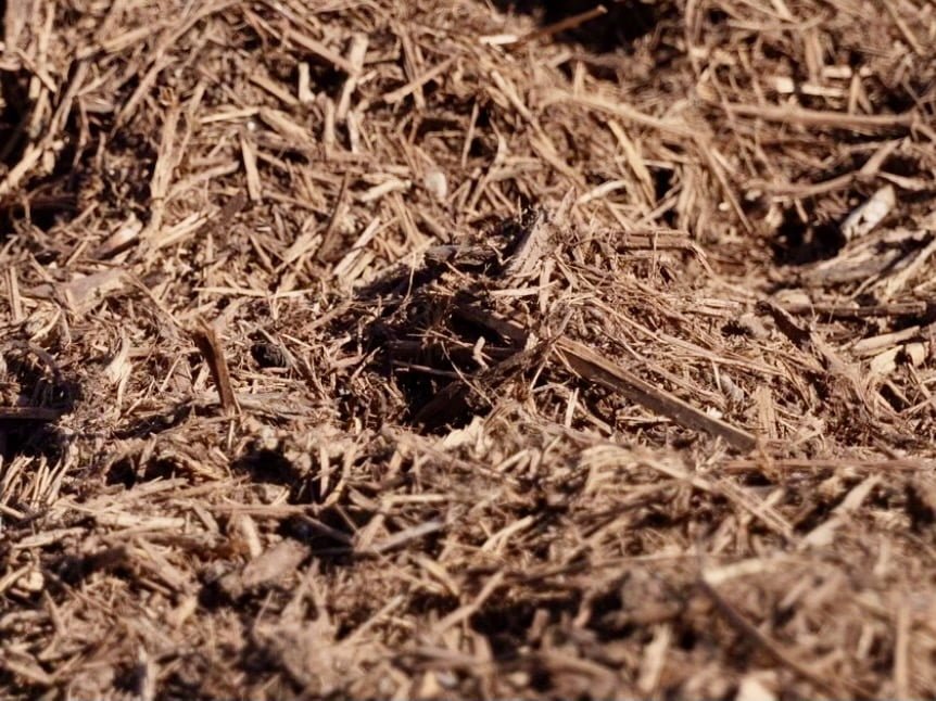 Cedar Mulch material reference